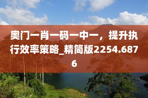 奧門一肖一碼一中一，提升執行效率策略_精簡版2254.6876