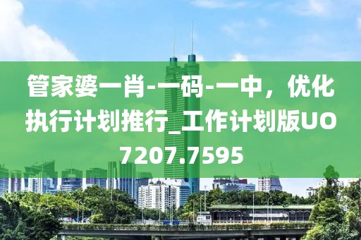 管家婆一肖-一碼-一中，優化執行計劃推行_工作計劃版UO7207.7595