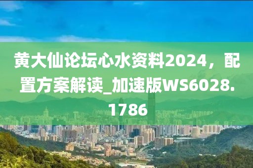 黃大仙論壇心水資料2024，配置方案解讀_加速版WS6028.1786