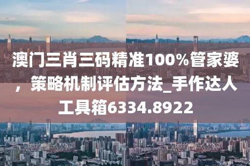 澳門三肖三碼精準100%管家婆，策略機制評估方法_手作達人工具箱6334.8922
