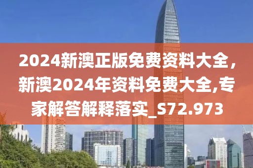 2024新澳正版免費資料大全，新澳2024年資料免費大全,專家解答解釋落實_S72.973