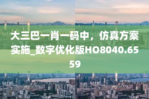 大三巴一肖一碼中，仿真方案實施_數字優化版HO8040.6559