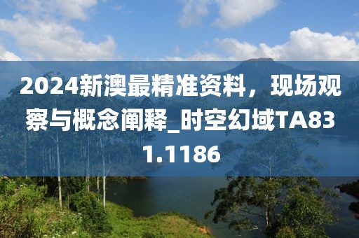 2024新澳最精準資料，現場觀察與概念闡釋_時空幻域TA831.1186