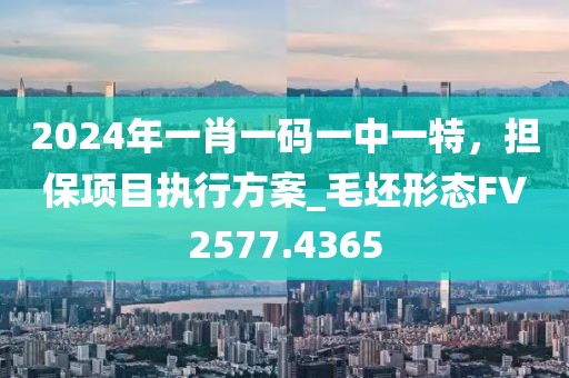 2024年一肖一碼一中一特，擔保項目執行方案_毛坯形態FV2577.4365