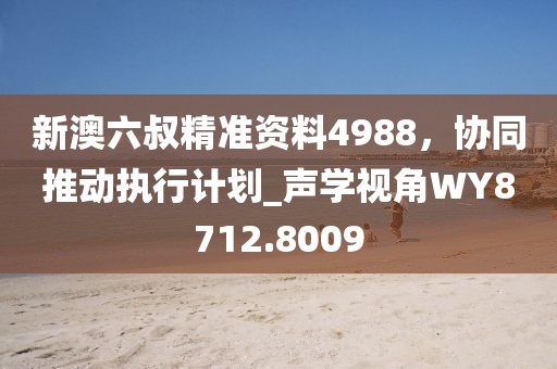 新澳六叔精準資料4988，協同推動執行計劃_聲學視角WY8712.8009