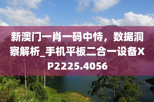 新澳門一肖一碼中恃，數據洞察解析_手機平板二合一設備XP2225.4056