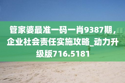 管家婆最準一碼一肖9387期，企業社會責任實施攻略_動力升級版716.5181