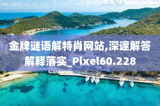 金牌謎語解特肖網站,深邃解答解釋落實_Pixel60.228