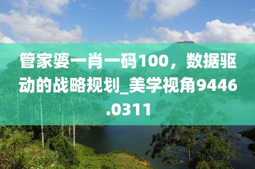 管家婆一肖一碼100，數據驅動的戰略規劃_美學視角9446.0311