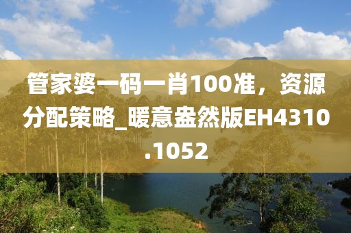管家婆一碼一肖100準，資源分配策略_暖意盎然版EH4310.1052