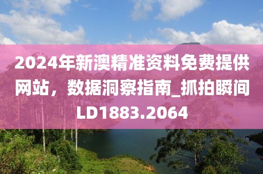 2024年新澳精準資料免費提供網站，數據洞察指南_抓拍瞬間LD1883.2064