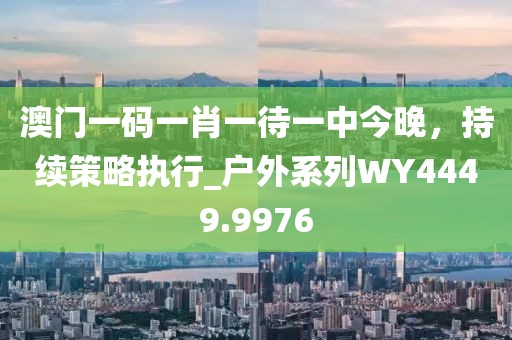 澳門一碼一肖一待一中今晚，持續策略執行_戶外系列WY4449.9976
