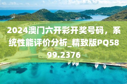 2024澳門六開彩開獎號碼，系統性能評價分析_精致版PQ5899.2376