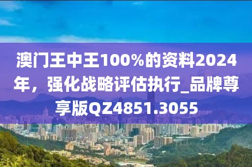 澳門王中王100%的資料2024年，強化戰略評估執行_品牌尊享版QZ4851.3055