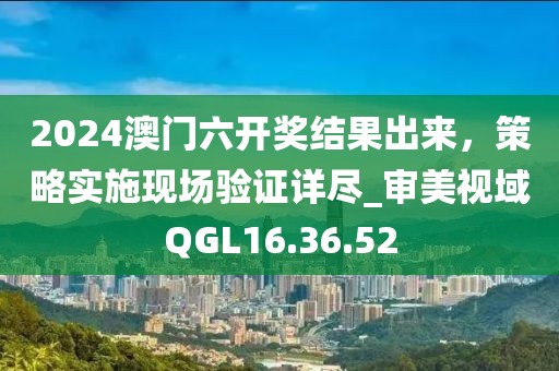 2024澳門六開獎結果出來，策略實施現場驗證詳盡_審美視域QGL16.36.52