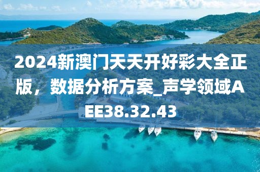 2024新澳門天天開好彩大全正版，數據分析方案_聲學領域AEE38.32.43