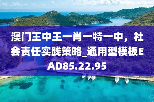 澳門王中王一肖一特一中，社會責任實踐策略_通用型模板EAD85.22.95