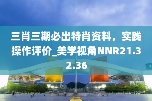 三肖三期必出特肖資料，實踐操作評價_美學視角NNR21.32.36