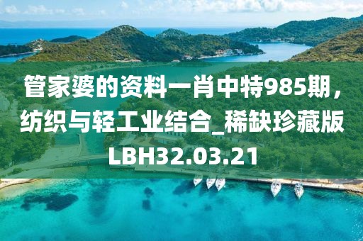 管家婆的資料一肖中特985期，紡織與輕工業結合_稀缺珍藏版LBH32.03.21