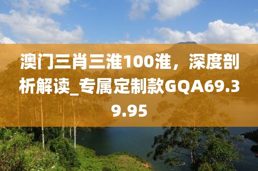 澳門三肖三淮100淮，深度剖析解讀_專屬定制款GQA69.39.95