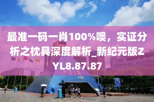 最準一碼一肖100%噢，實證分析之枕具深度解析_新紀元版ZYL8.87.87