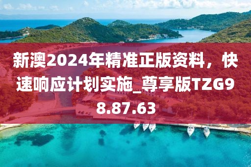 新澳2024年精準正版資料，快速響應計劃實施_尊享版TZG98.87.63