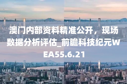 澳門內部資料精準公開，現場數據分析評估_前瞻科技紀元WEA55.6.21