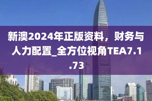 新澳2024年正版資料，財務與人力配置_全方位視角TEA7.1.73