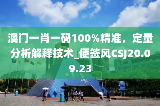 澳門一肖一碼100%精準，定量分析解釋技術_便簽風CSJ20.09.23