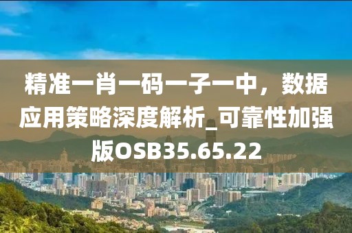 精準一肖一碼一子一中，數據應用策略深度解析_可靠性加強版OSB35.65.22