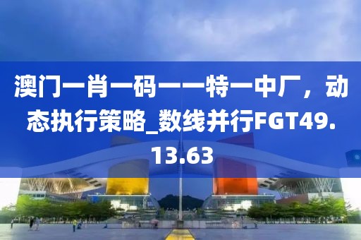 澳門一肖一碼一一特一中廠，動態執行策略_數線并行FGT49.13.63