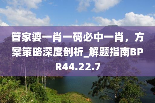 管家婆一肖一碼必中一肖，方案策略深度剖析_解題指南BPR44.22.7