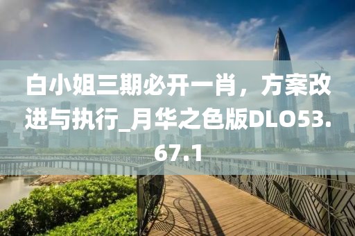 白小姐三期必開一肖，方案改進與執行_月華之色版DLO53.67.1