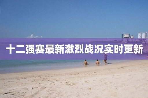 十二強賽最新激烈戰況實時更新