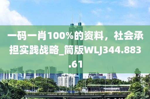 一碼一肖100%的資料，社會承擔實踐戰略_簡版WLJ344.883.61
