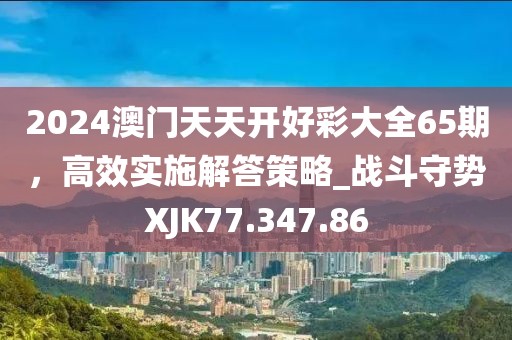 2024澳門天天開好彩大全65期，高效實施解答策略_戰斗守勢XJK77.347.86