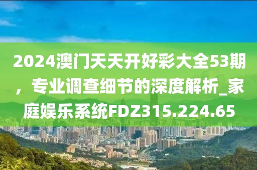 2024澳門天天開好彩大全53期，專業調查細節的深度解析_家庭娛樂系統FDZ315.224.65