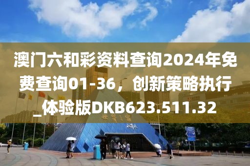 澳門六和彩資料查詢2024年免費查詢01-36，創新策略執行_體驗版DKB623.511.32