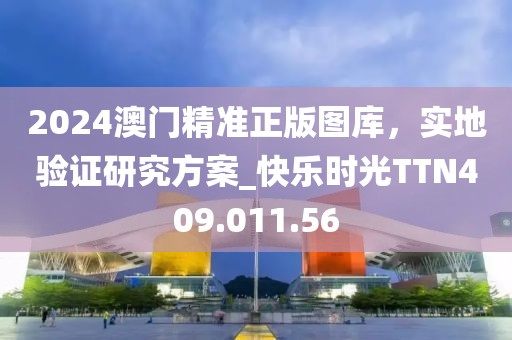 2024澳門精準正版圖庫，實地驗證研究方案_快樂時光TTN409.011.56