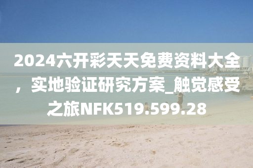 2024六開彩天天免費資料大全，實地驗證研究方案_觸覺感受之旅NFK519.599.28