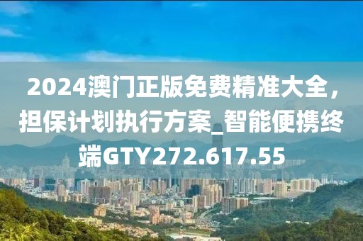 2024澳門正版免費精準大全，擔保計劃執行方案_智能便攜終端GTY272.617.55