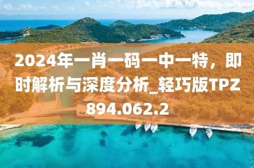 2024年一肖一碼一中一特，即時解析與深度分析_輕巧版TPZ894.062.2