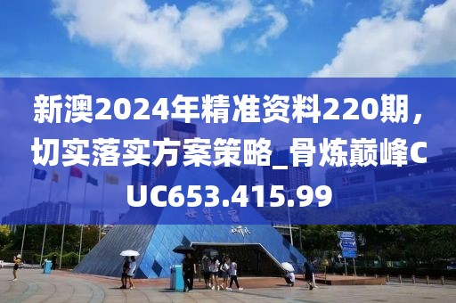 新澳2024年精準資料220期，切實落實方案策略_骨煉巔峰CUC653.415.99