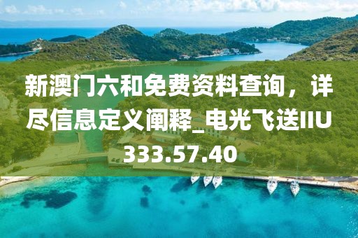 新澳門六和免費資料查詢，詳盡信息定義闡釋_電光飛送IIU333.57.40