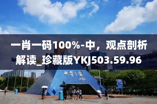 一肖一碼100%-中，觀點剖析解讀_珍藏版YKJ503.59.96