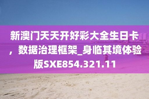 新澳門天天開好彩大全生日卡，數據治理框架_身臨其境體驗版SXE854.321.11