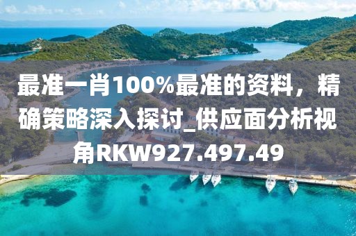 最準一肖100%最準的資料，精確策略深入探討_供應面分析視角RKW927.497.49