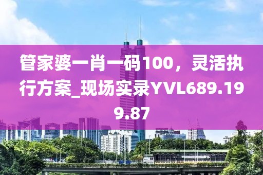 管家婆一肖一碼100，靈活執行方案_現場實錄YVL689.199.87