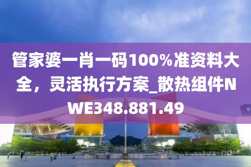 管家婆一肖一碼100%準資料大全，靈活執行方案_散熱組件NWE348.881.49