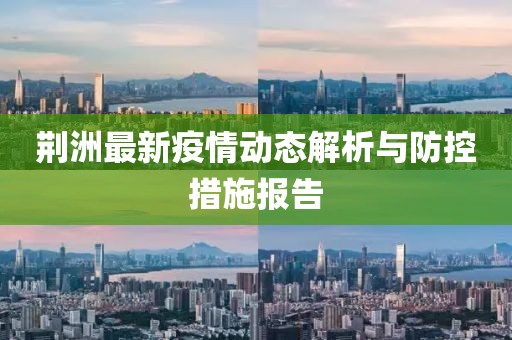 荊洲最新疫情動態解析與防控措施報告
